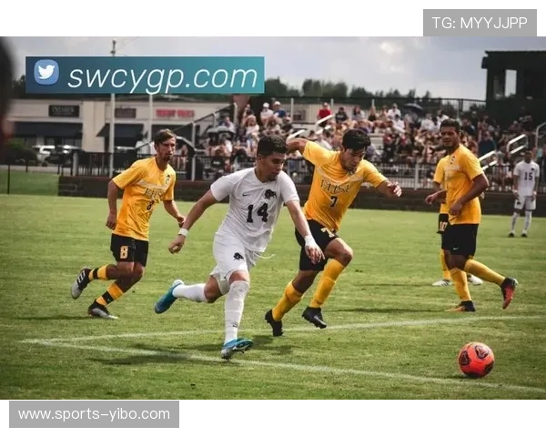 开云体育体育:致力于打造中国领先的体育赛事运营与管理平台