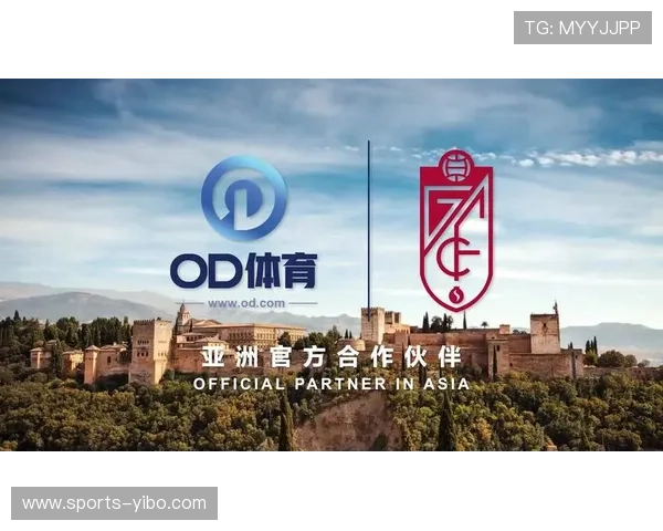 od体育入口安全可靠的登录入口确保用户个人信息和资金安全保障措施详解